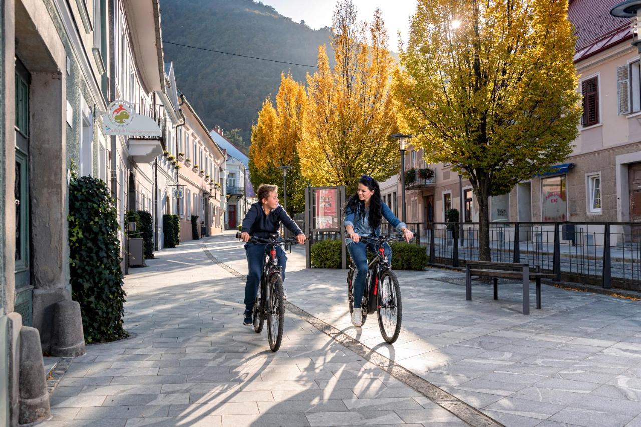 Dvorec Trebnik - Sobe Slovenske Konjice Extérieur photo