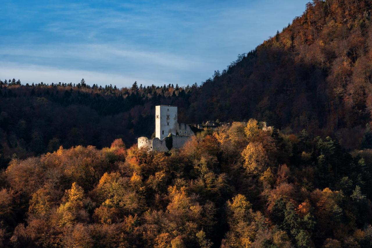 Dvorec Trebnik - Sobe Slovenske Konjice Extérieur photo