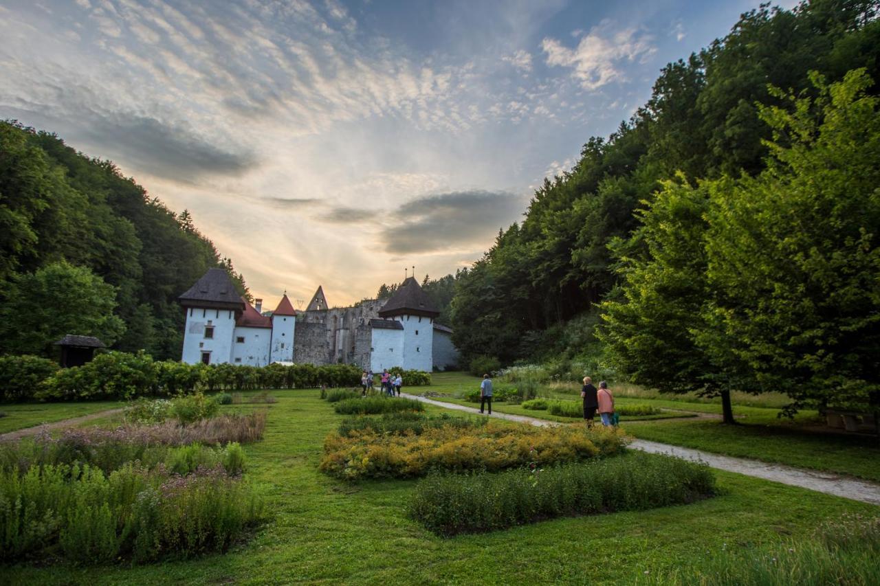 Dvorec Trebnik - Sobe Slovenske Konjice Extérieur photo